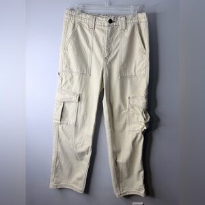 BDG Urban Outfitters Cargo Skate Pants